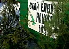 В Томской области в четвертый раз пройдет акция «Елки для буренки»